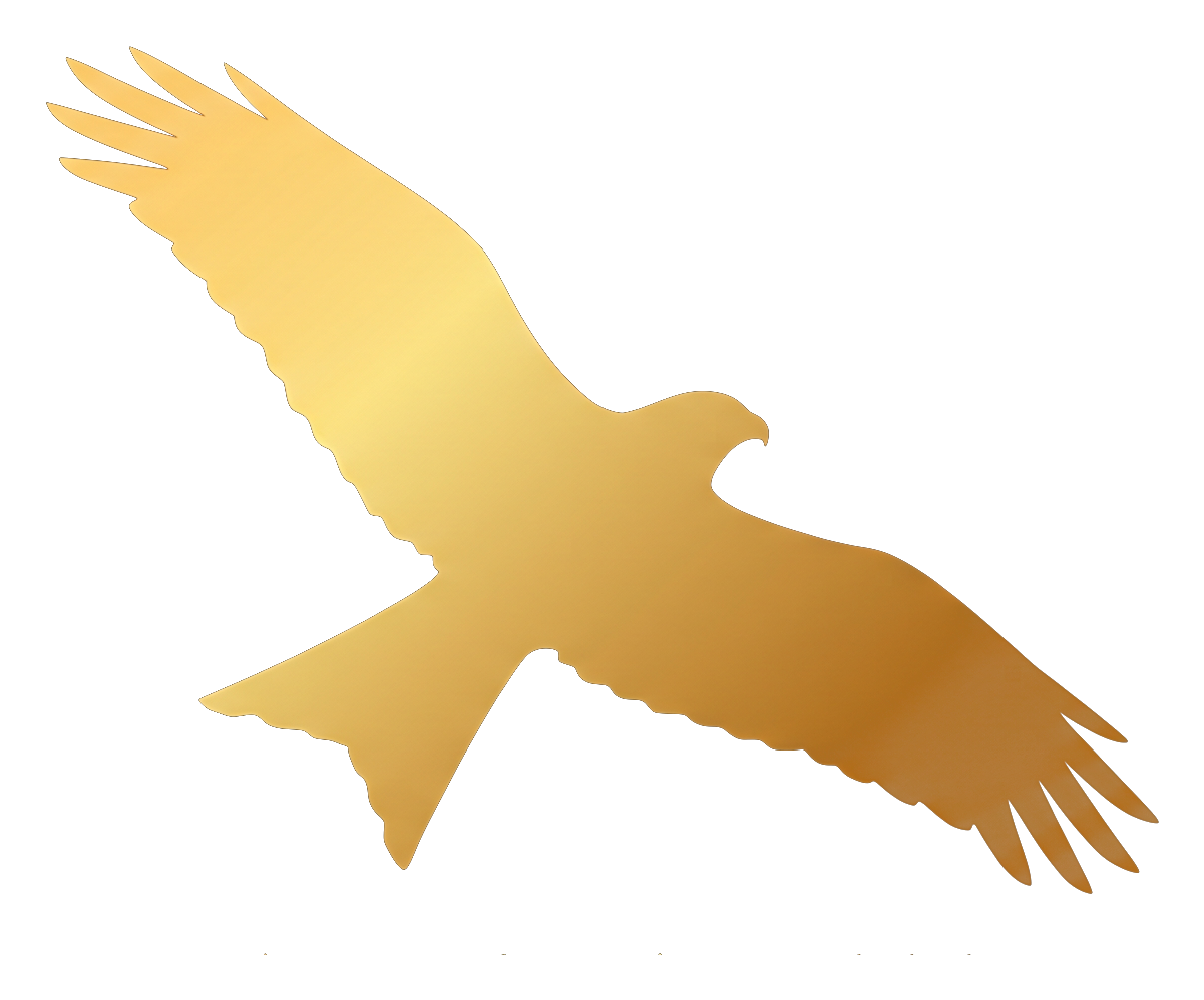 The Automatizer kite logo